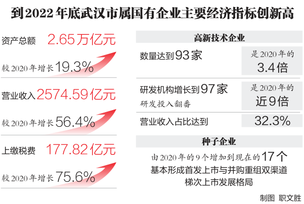 武汉市人民政府门户网站与武汉企业网站 数字时代的城市服务双引擎
